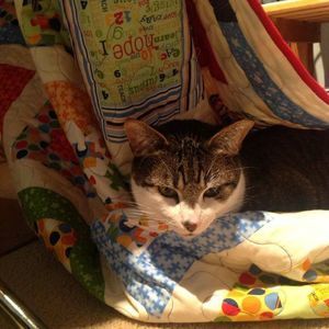 Meet your Posher, Janice